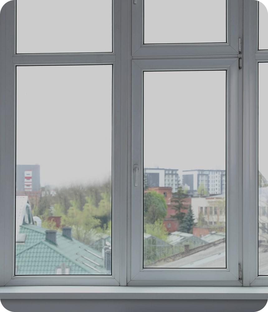 windows GLASSO SALAMANDER